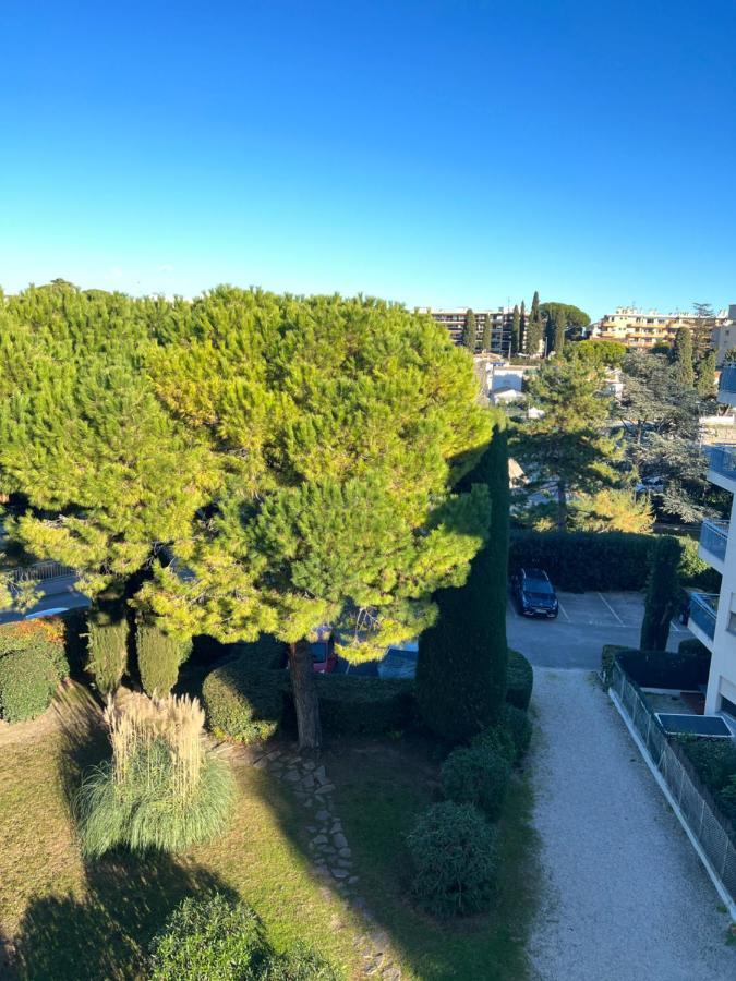 Superbe Studio En Residence Proche De La Mer Cagnes-sur-Mer Eksteriør bilde